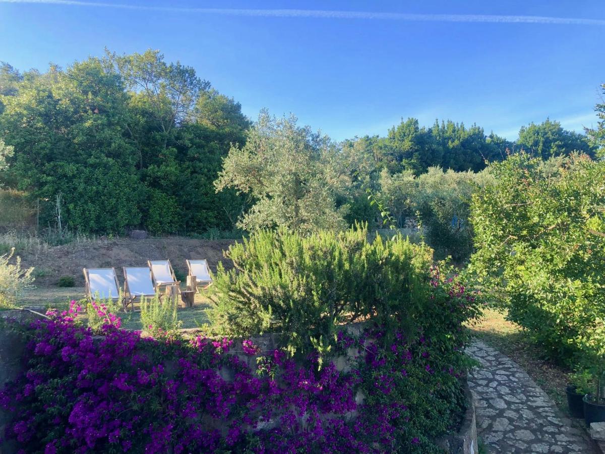 Bed and Breakfast Nostos Casale SantʼAgata sui Due Golfi Exteriér fotografie